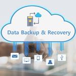 Secured Data Recovery - photo 2