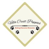 Villa Crest Puppies - Pet Services in Honey Brook
