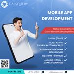Capsquery Private Limited - photo 3