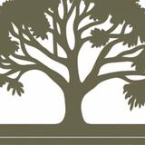 Landscaping Savannah