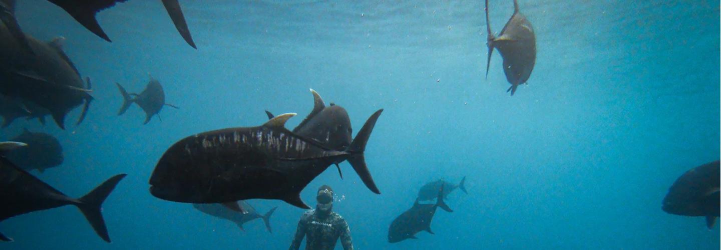 Rusty Freediving cover photo