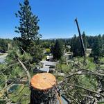 Blake's Tree Service LLC - photo 1