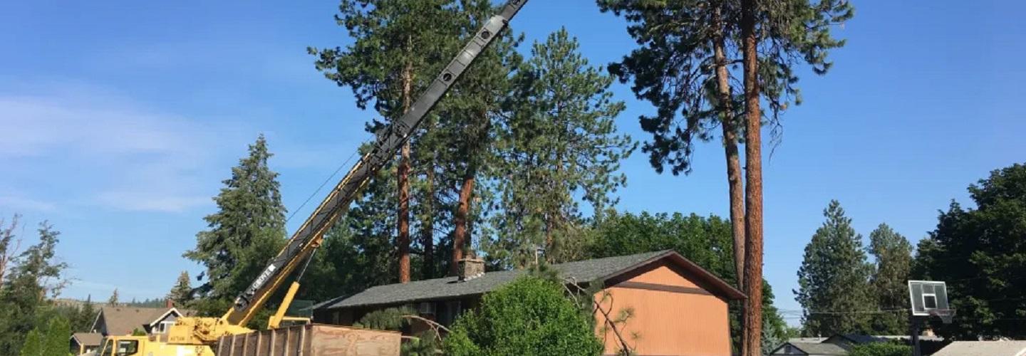 Blake's Tree Service LLC cover photo