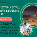 Flatline Pest Control - Pest Control Long Jetty - photo 5