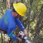 Benton Tree Service LLC - photo 1