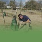 Benton Tree Service LLC - photo 2