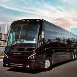 travel  - Travel Agents in Baton Rouge