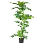 Shweta Enterprise - Artificial Plants & Grass - photo 2