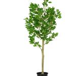 Shweta Enterprise - Artificial Plants & Grass - photo 3