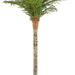 Shweta Enterprise - Artificial Plants & Grass - photo 6