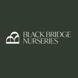 Black Bridge Big Tree Nurseries NZ