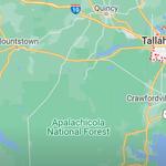 mold busters - photo 2