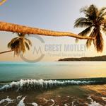 CREST MOTLEY - photo 2