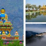 CREST MOTLEY - photo 3