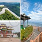 CREST MOTLEY - photo 5