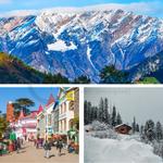 CREST MOTLEY - photo 8