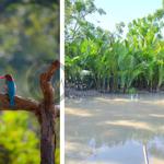 CREST MOTLEY - photo 9