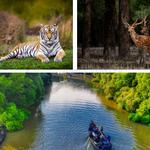 CREST MOTLEY - photo 10