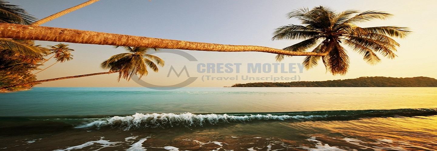 CREST MOTLEY cover photo