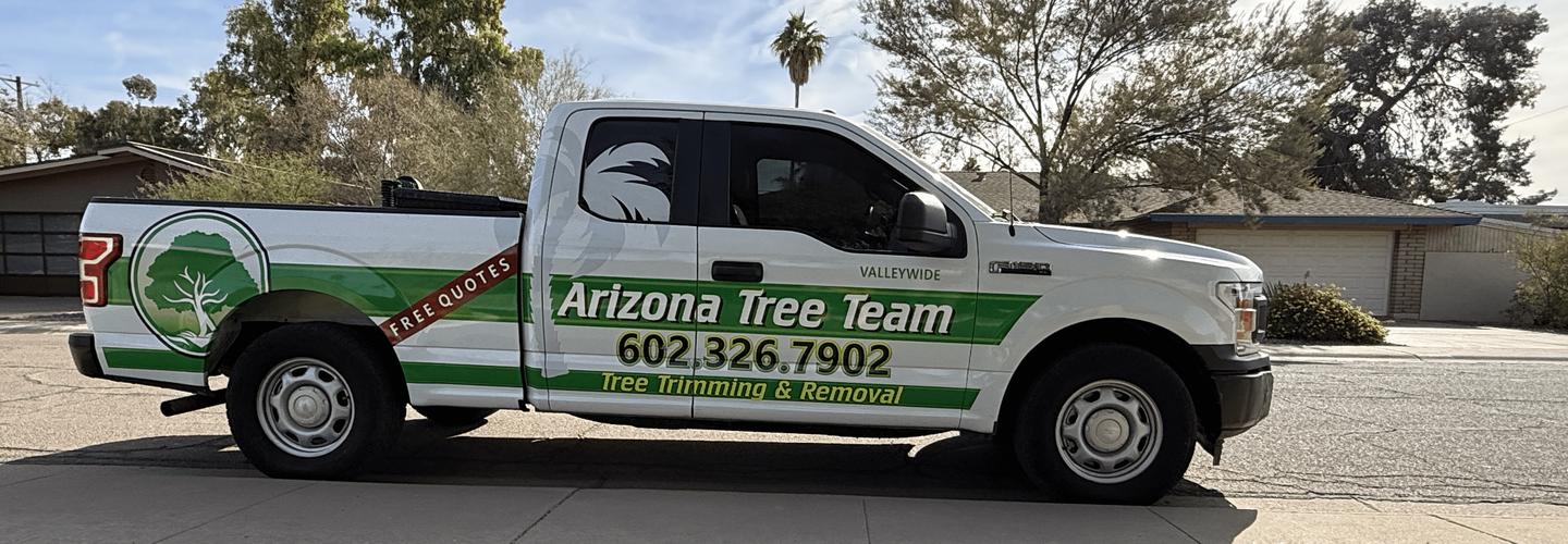 Phoenix Tree Trimming  cover photo