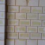 WA Brick Cleaning - photo 2