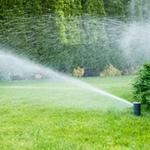 Allstar Landscaping - photo 9