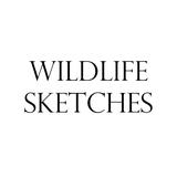 Wildlife Sketches - Performing Arts in Bournemouth