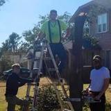 Cheap Trees LLC - Tree Services in Clayton