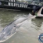 Kilby Lodge - Sturgeon and Salmon Adventures - photo 3