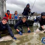 Kilby Lodge - Sturgeon and Salmon Adventures - photo 5