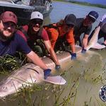 Kilby Lodge - Sturgeon and Salmon Adventures - photo 8