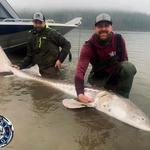 Kilby Lodge - Sturgeon and Salmon Adventures - photo 9