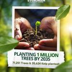 Evergreen Building Maintenance - photo 2