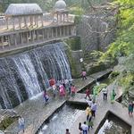 Book My Trip India - photo 5