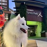 Hawaiian's Forrestfield - photo 1