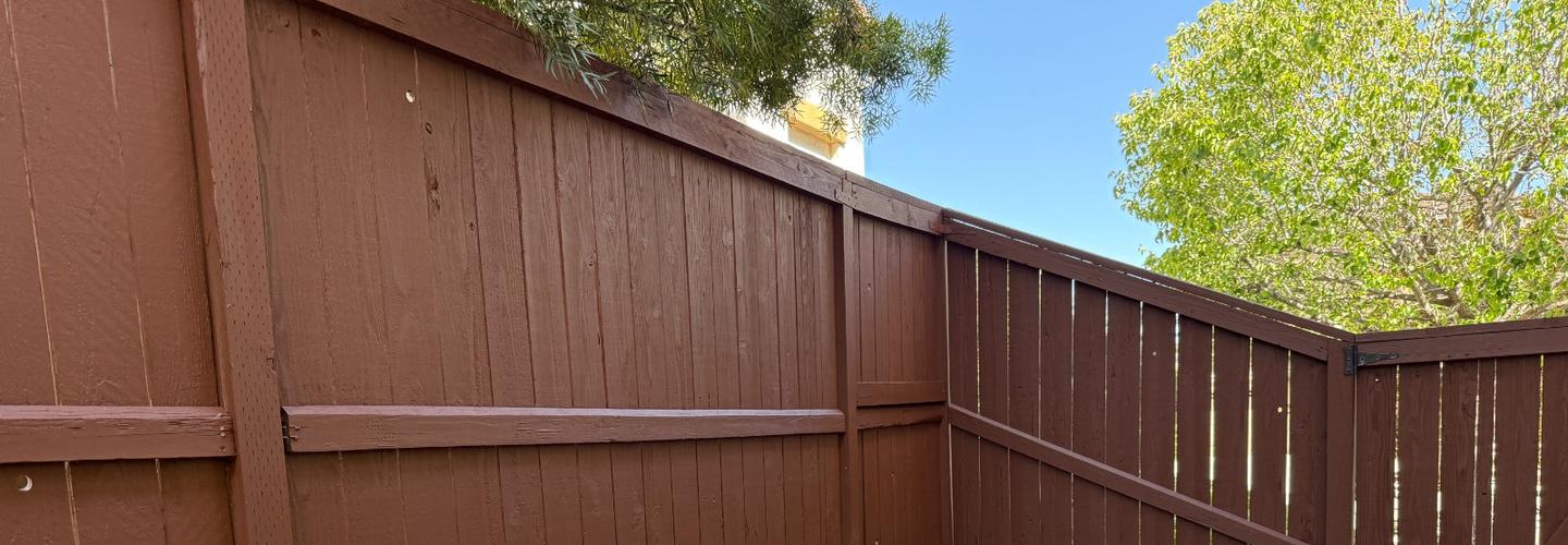 Monarch Painting cover photo