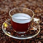 Shazia's Organic Café - photo 7