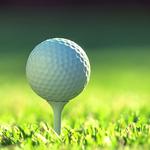 The Sand Trapp - photo 4