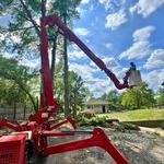 KD Tree Service Foxborough MA - photo 1