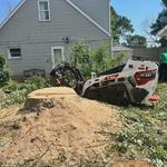 KD Tree Service Foxborough MA - photo 2