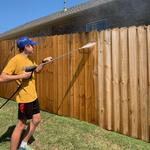 Schneider Painting - photo 1