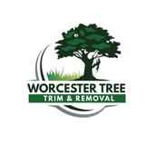 Worcester Tree Trim and Removal - Tree Services in Worcester