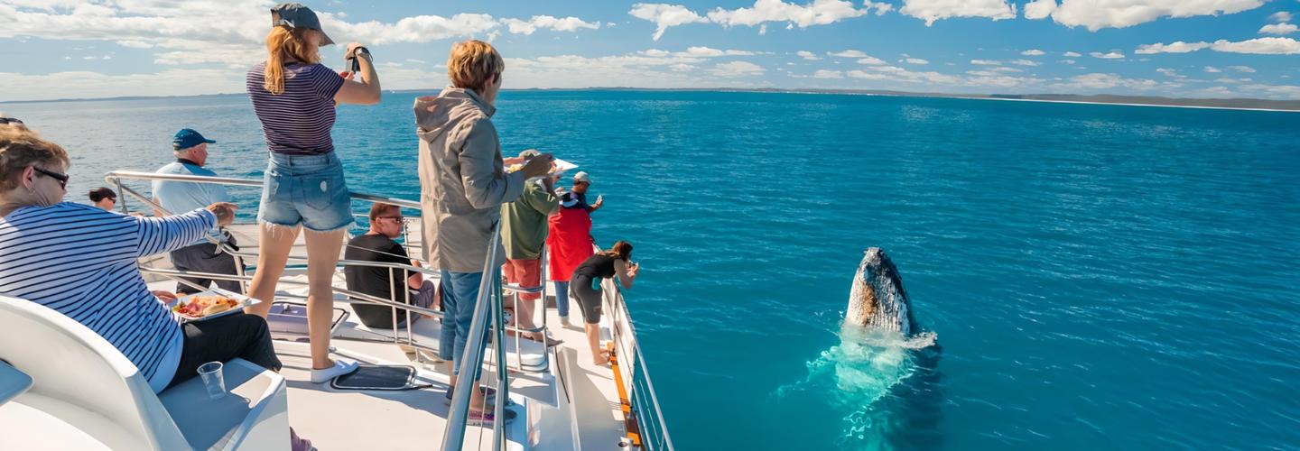 Freedom Ecotours Pty ltd cover photo