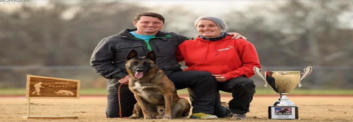 D&C Dog Training cover photo