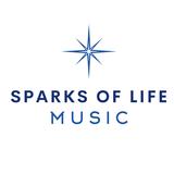 Sparks of life Music LLC - Music Stores in Middletown