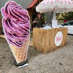 Speedpro Signs Nelson - photo 6