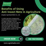 Qingdao Agrishade Mesh Co., Ltd. - photo 3