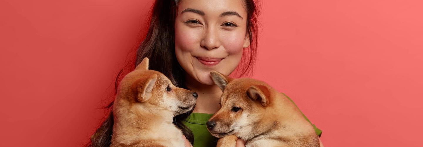 Revel Vet cover photo