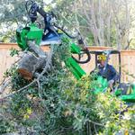 Heritage Tree Services - photo 1