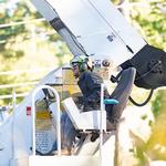 Heritage Tree Services - photo 4